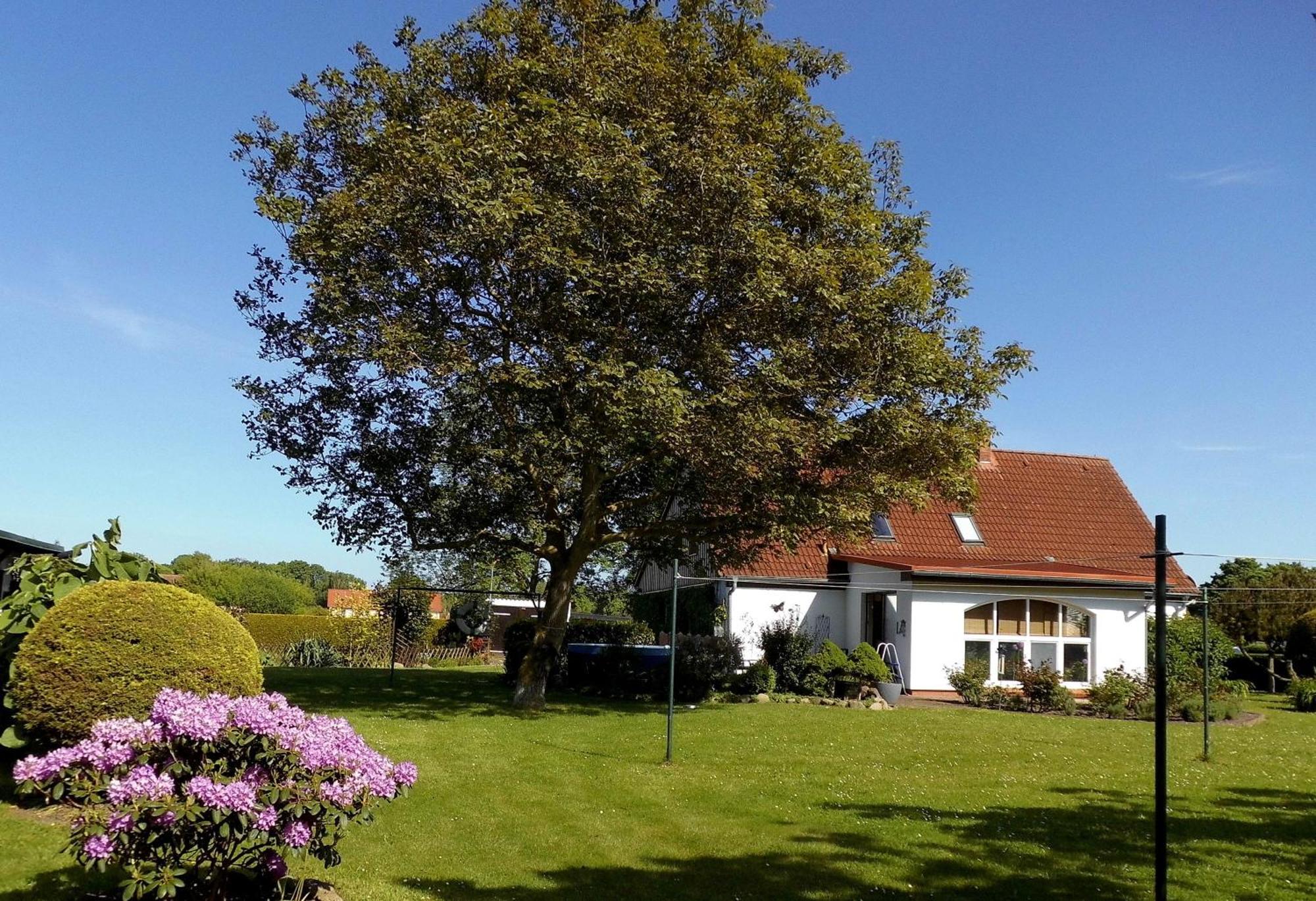 Bungalow Und Ferienwohnung Auf Ruegen Kluis Exteriér fotografie
